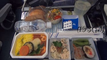 【ANA 機内食】2019年4月搭乗。羽田発着ハノイへ