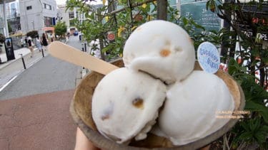 表参道から沖縄に2021年12月17日、移転オープン！ココナッツの殻に入ったアイスクリームが可愛い！ハワイ・マウイ島から日本初上陸　オーガニックのココナッツアイス「COCONUT GLEN’S(ココナッツグレン)」