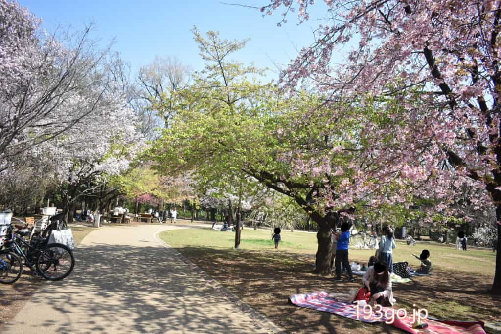 吉祥寺 井の頭公園 花見 桜の開花 食べ歩きグルメをピックアップ 193go Jp いくみごードットジェイピー