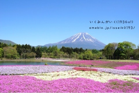 山梨 観光 旅行 富士芝桜まつり 絶景 大自然の中でうまいものを 河口湖周辺宿 たかの友梨 スパ ホテル 桜庵 193go Jp いくみごードットジェイピー