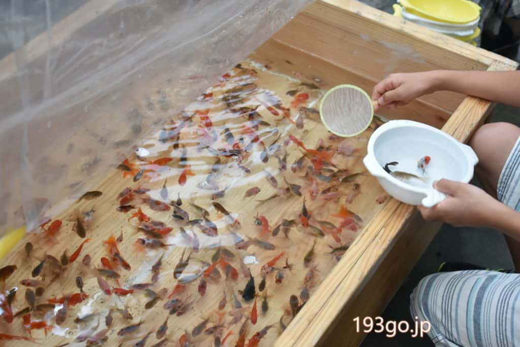 本郷三丁目 金魚坂 レトロ可愛い金魚だらけ 夏祭り気分で金魚すくい 釣りを 193go Jp いくみごードットジェイピー