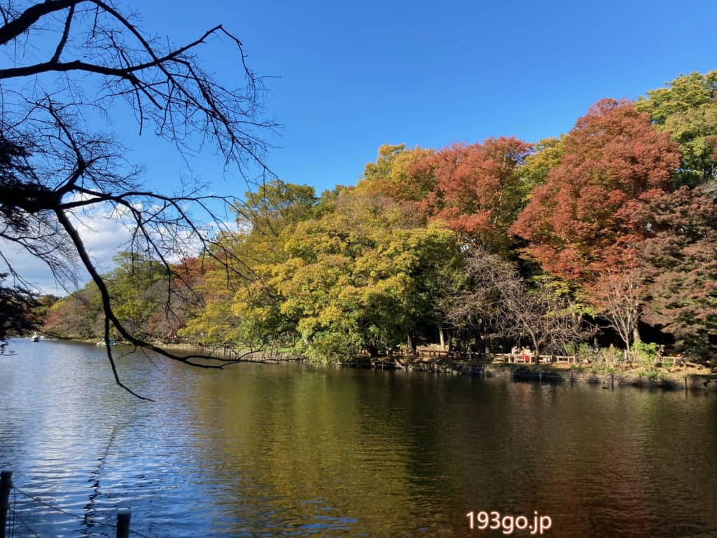 吉祥寺 鮮やかな紅葉の井の頭公園でパスタランチを Sopra ソプラ 193go Jp いくみごードットジェイピー