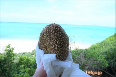 宮古島「海美来(かいみーる)」池間島のお土産・食事処&展望台 エメラルドの海眺めながら手作り紅芋もち