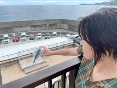 「漁港の駅 TOTOCO 小田原」小田原漁港プリン“激突”ソフトクリーム!海産物のお土産ゲット 海鮮丼、刺身食べ放題に大行列