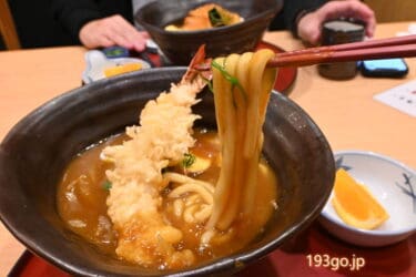 「玉川」豊橋名物の豊橋カレーうどん!丼の底にとろろご飯が 海老天やトンカツのせてボリューミー