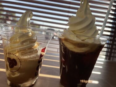 【埼玉】古墳公園内の「さきたまテラス」でコーヒーフロート！行田の餃子も旨い　