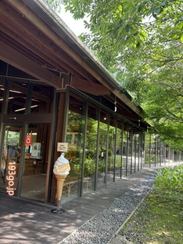 東京・あきる野市「秋川渓谷 瀬音の湯」で日帰り温泉！ぬるぬるの露天風呂で癒される　吊り橋や宿泊コテージも