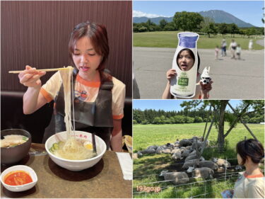 【盛岡】「焼肉レストラン米内」念願の盛岡冷麺！ツルモチ喉ごし、クリアなスープは飲み干す美味しさ！小岩井農場も見ごたえたっぷり